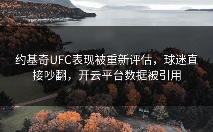 约基奇UFC表现被重新评估，球迷直接吵翻，开云平台数据被引用